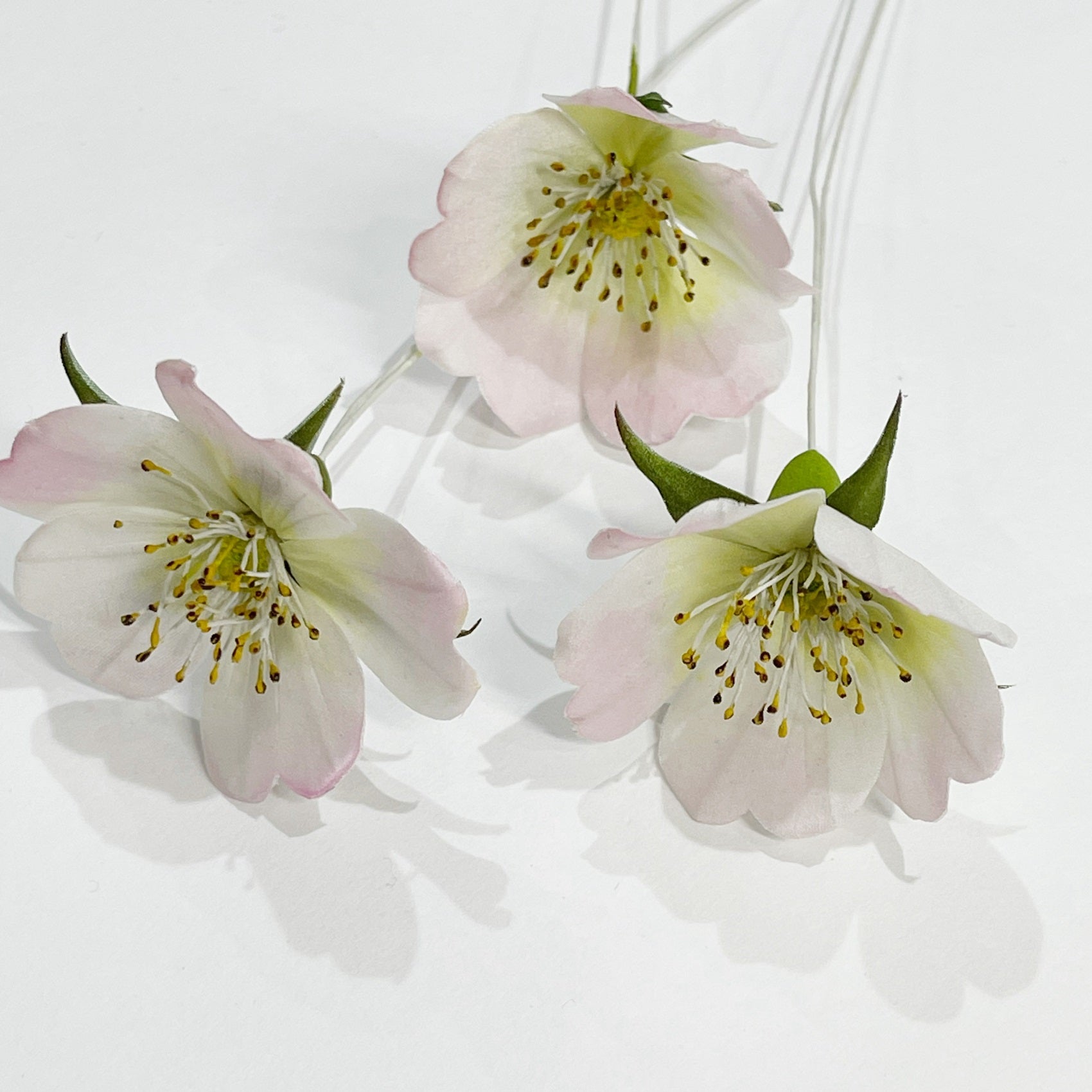 Anne Tomlin Guest Tutor Hand Embroidery Course 'Making Silk Flowers'