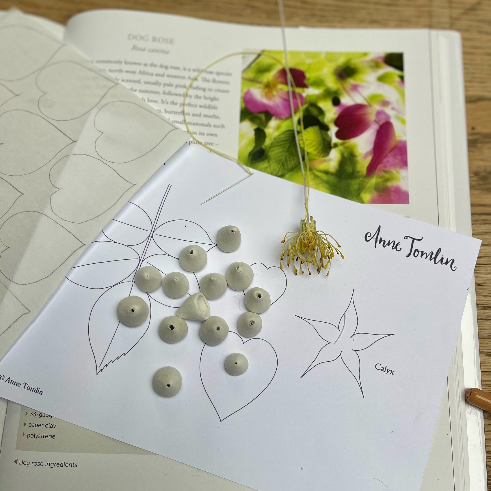 Anne Tomlin Guest Tutor Hand Embroidery Course 'Making Silk Flowers'