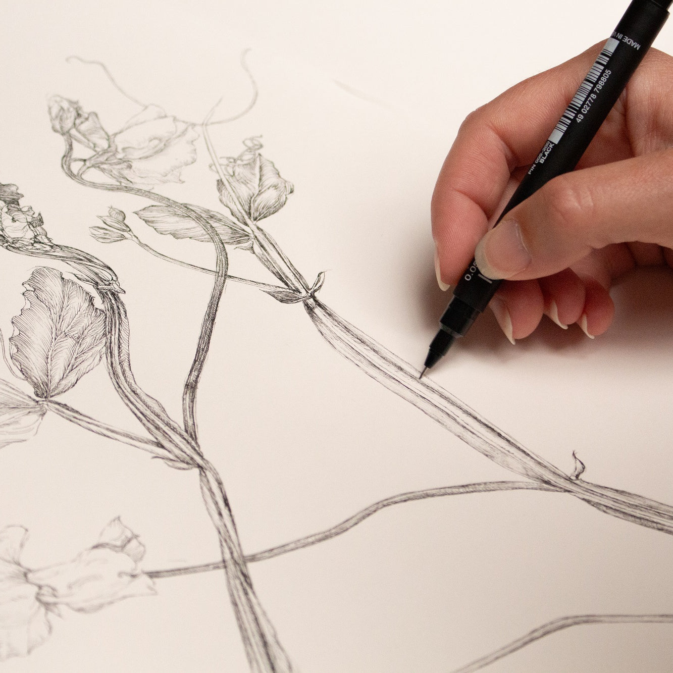 Charlotte Gaunt Guest Tutor Illustration Course 'Floral Illustration for Couture Interiors'