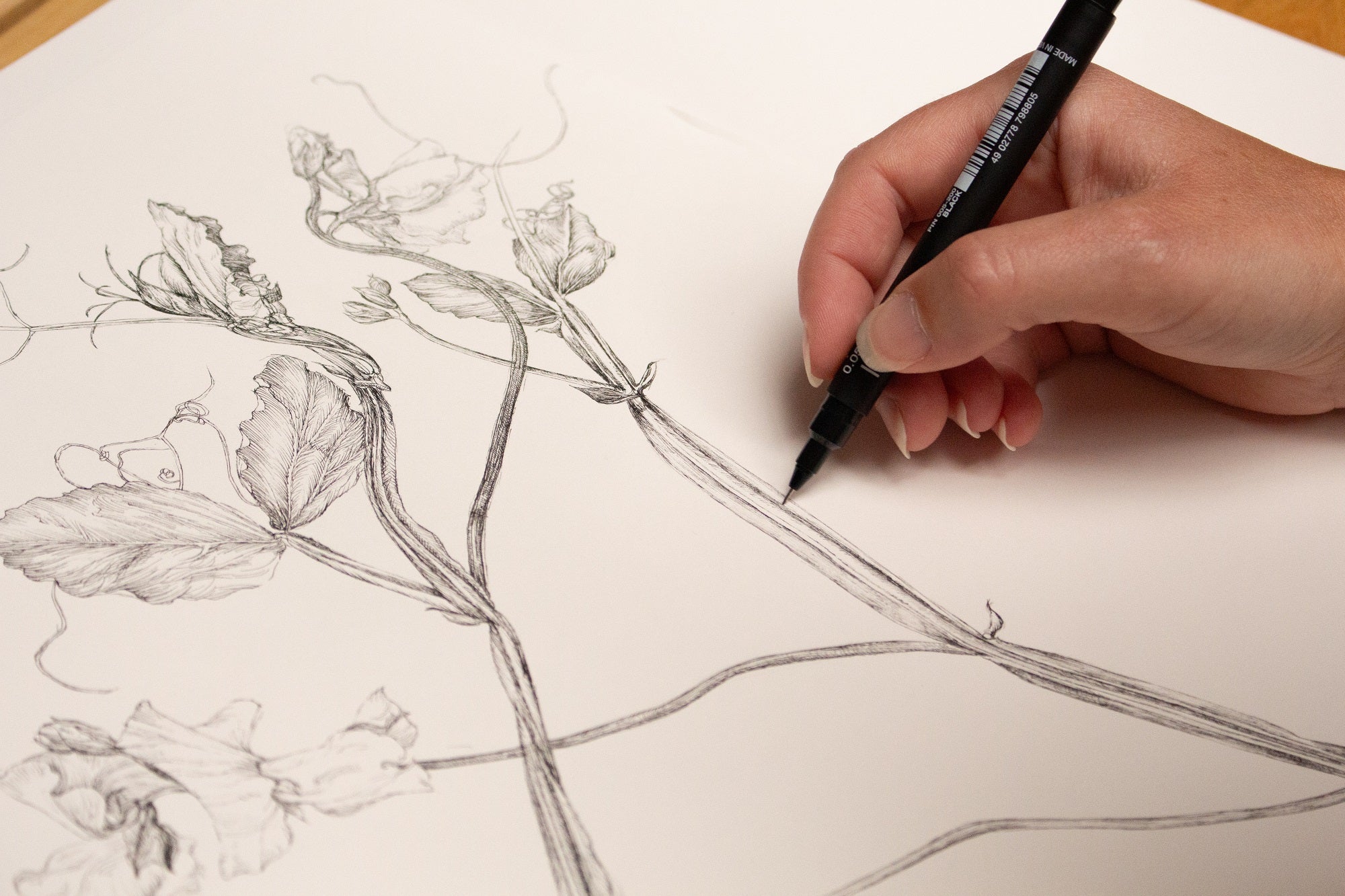 Charlotte Gaunt Guest Tutor Illustration Course 'Floral Illustration for Couture Interiors'