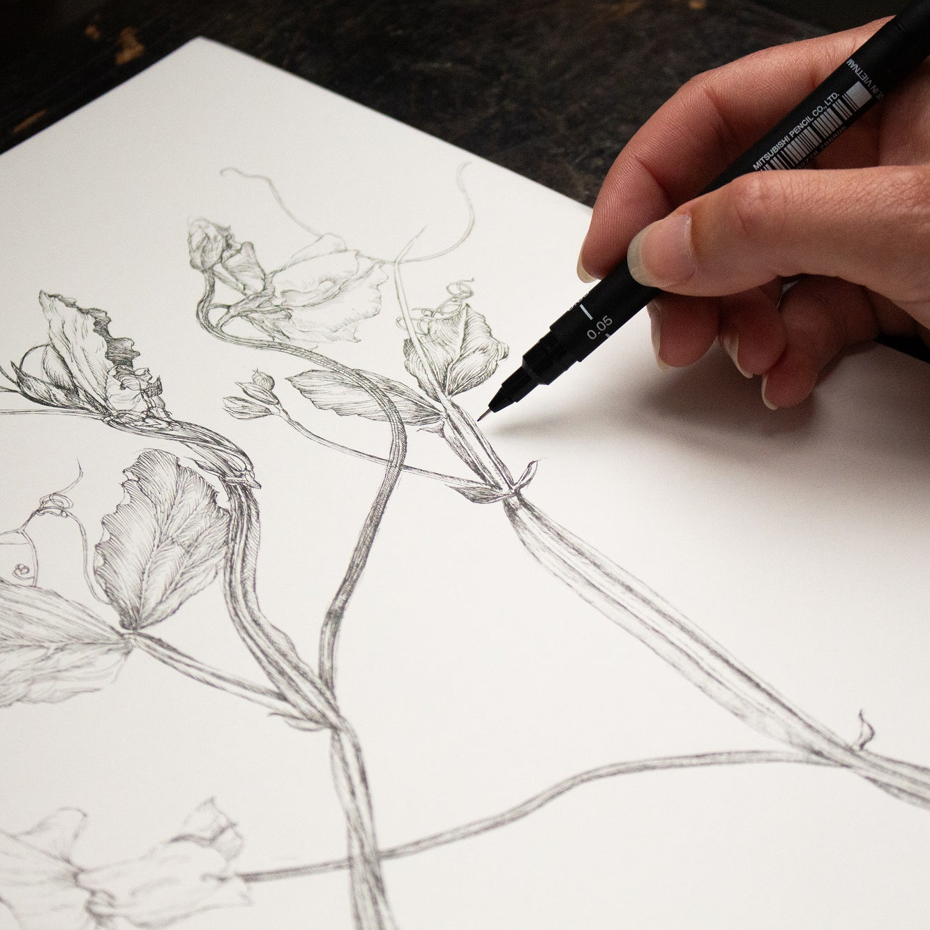 Charlotte Gaunt Guest Tutor Illustration Course 'Floral Illustration for Couture Interiors'