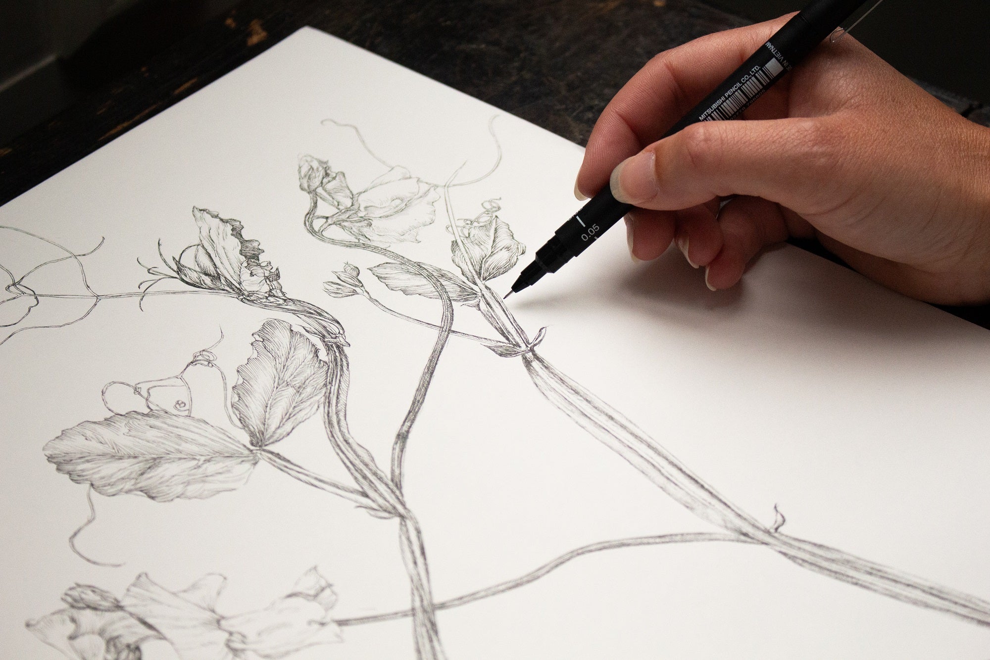 Charlotte Gaunt Guest Tutor Illustration Course 'Floral Illustration for Couture Interiors'