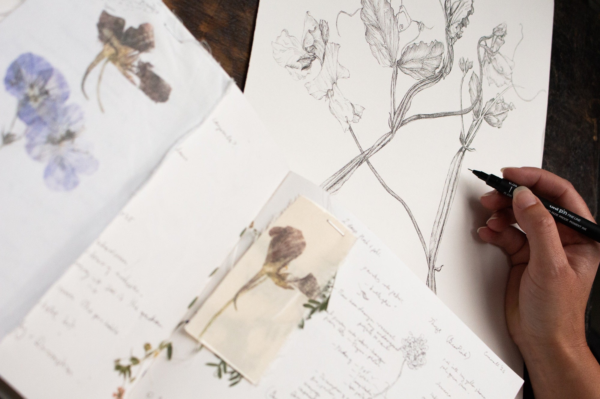 Charlotte Gaunt Guest Tutor Illustration Course 'Floral Illustration for Couture Interiors'