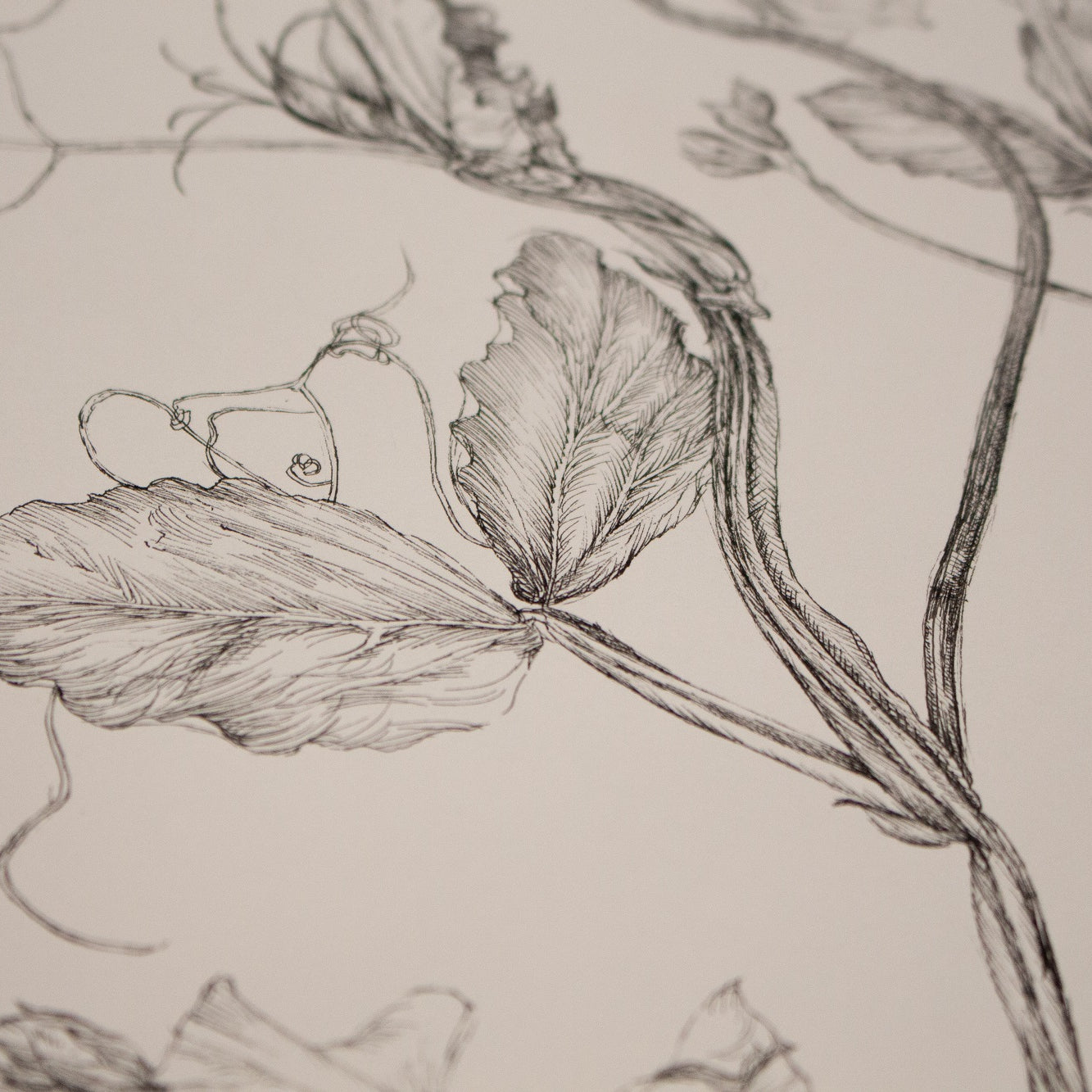 Charlotte Gaunt Guest Tutor Illustration Course 'Floral Illustration for Couture Interiors'