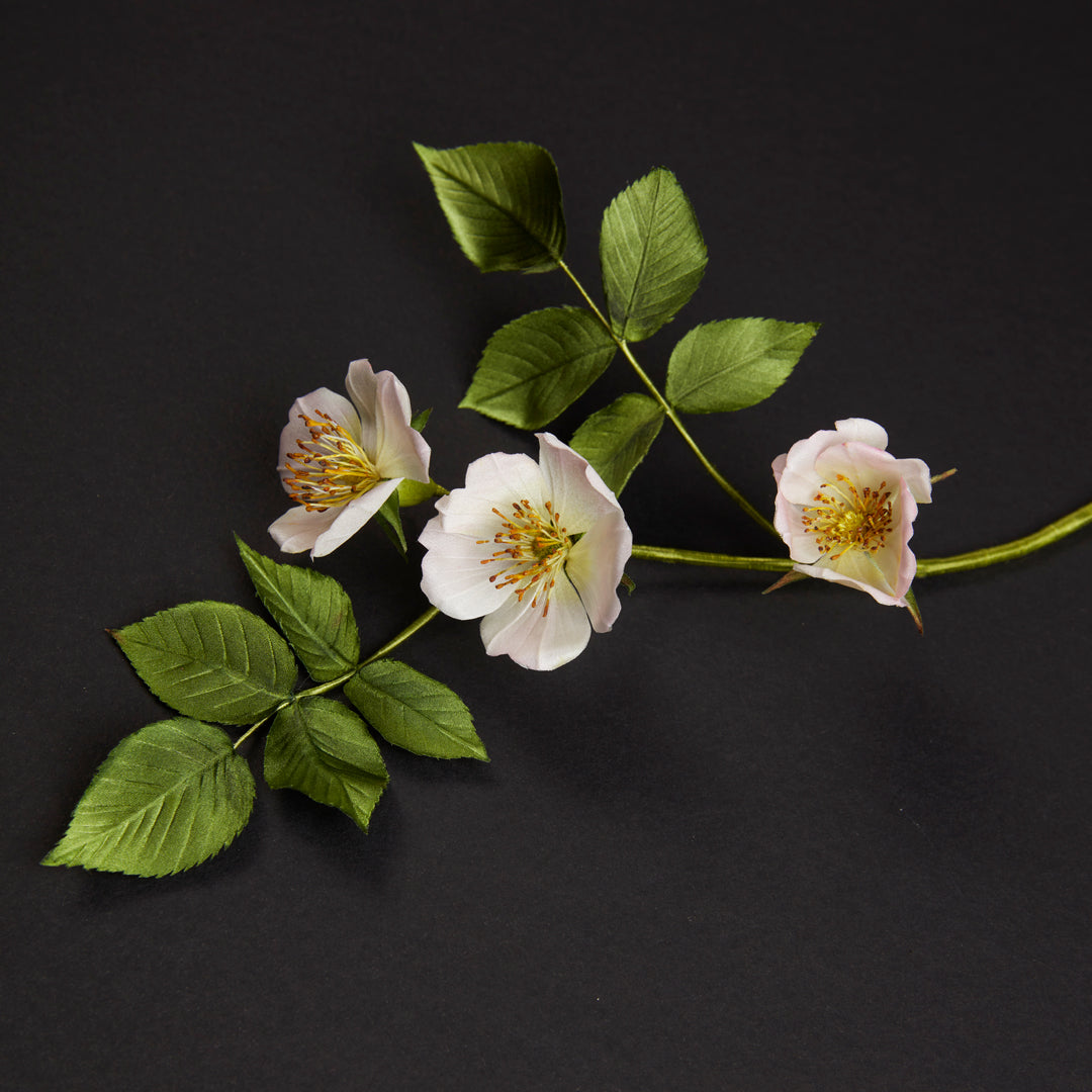 Making Silk Flowers with Anne Tomlin (8148334018819) (14628351050106)