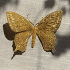 Michelle Agnew Sculptural Goldwork Butterfly Embroidery Course