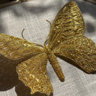 Michelle Agnew Sculptural Goldwork Butterfly Embroidery Course