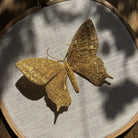 Michelle Agnew Sculptural Goldwork Butterfly Embroidery Course