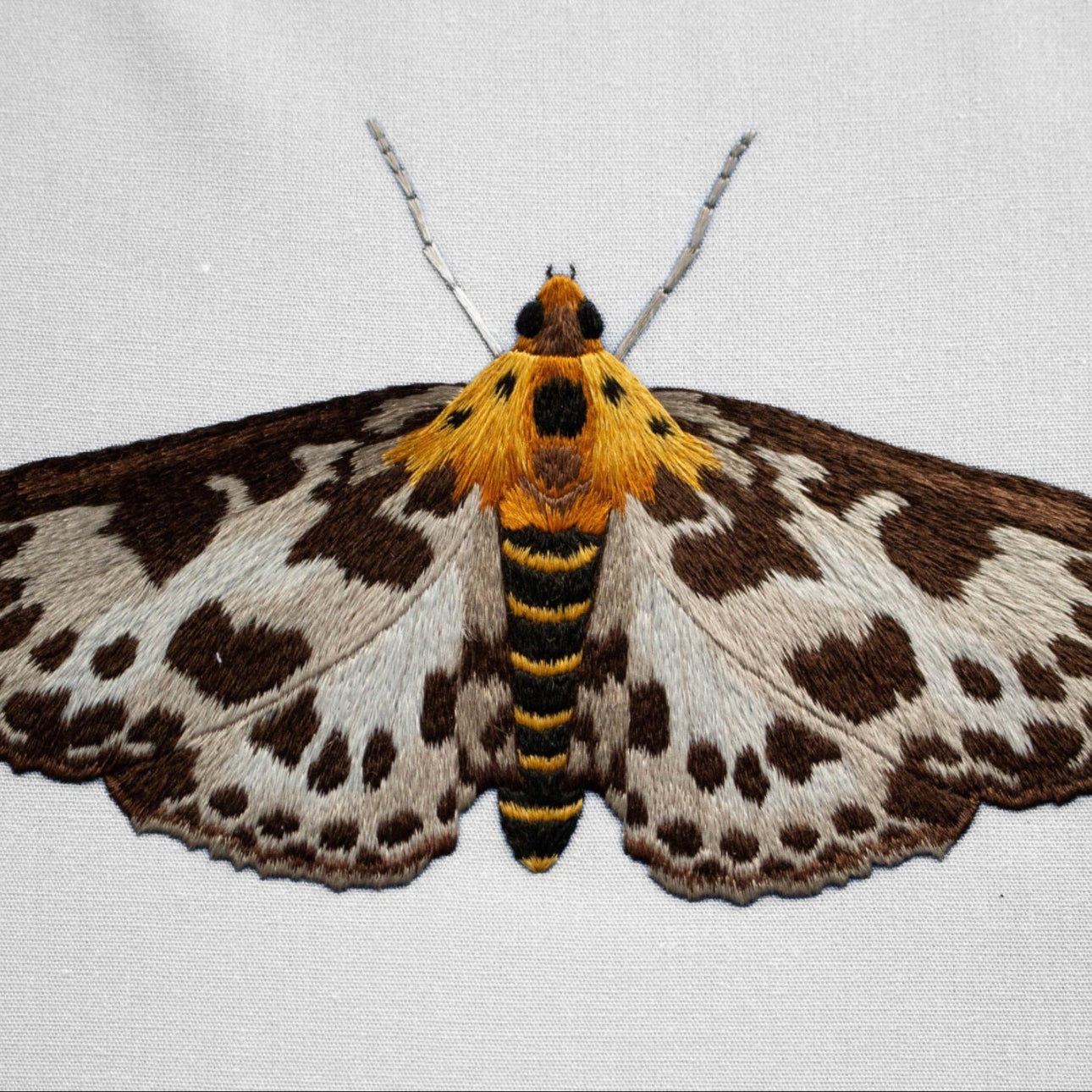 Needlepainting Moth Embroidery Course with Victoria Matthewson