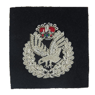 ARMY AIR CORPS BERET BADGE (4334338310216)