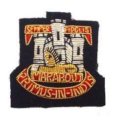 DEVON & DORSET DRESS CAP BADGE ON BLACK
