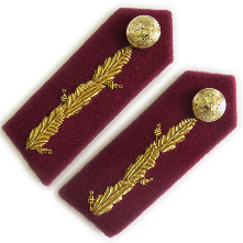 General's Service Dress Oakleaf Gorgets Medical Maroon (4334492713032)