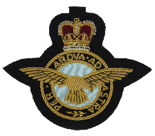 RAF BLAZER BADGE LARGE