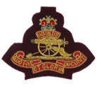 Royal Artillery Gun Beret Badge (4334661173320)