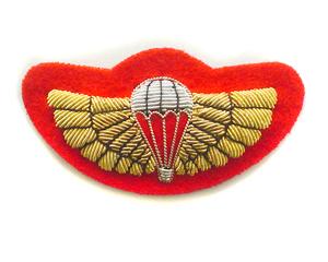SPECIAL AIR SERVICE (SAS) NO1 DRESS WINGS (4334674968648)