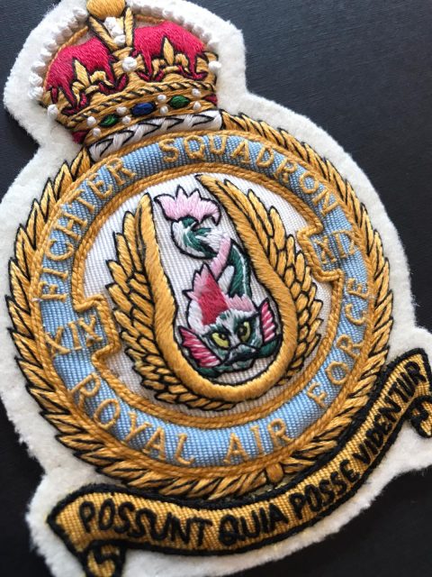 Royal Air Force Fighter Squadron Badge
