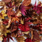 Anne Tomlin Autumn Leaves Course with Hand and Lock