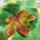 Anne Tomlin Autumn Leaves Course with Hand and Lock