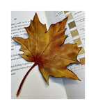 Anne Tomlin Autumn Leaves Course with Hand and Lock 