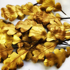 Anne Tomlin Autumn Leaves Course with Hand and Lock 