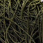 Fern Green Goldwork Embroidery Bullion Close Up
