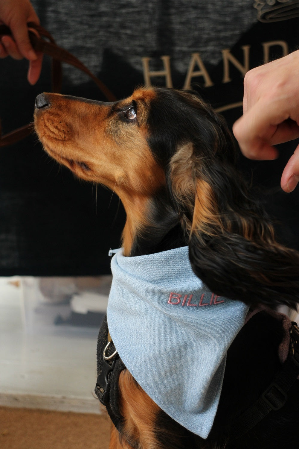 Chelsea Dog Day x Paige Bespoke Machine Embroidery Event