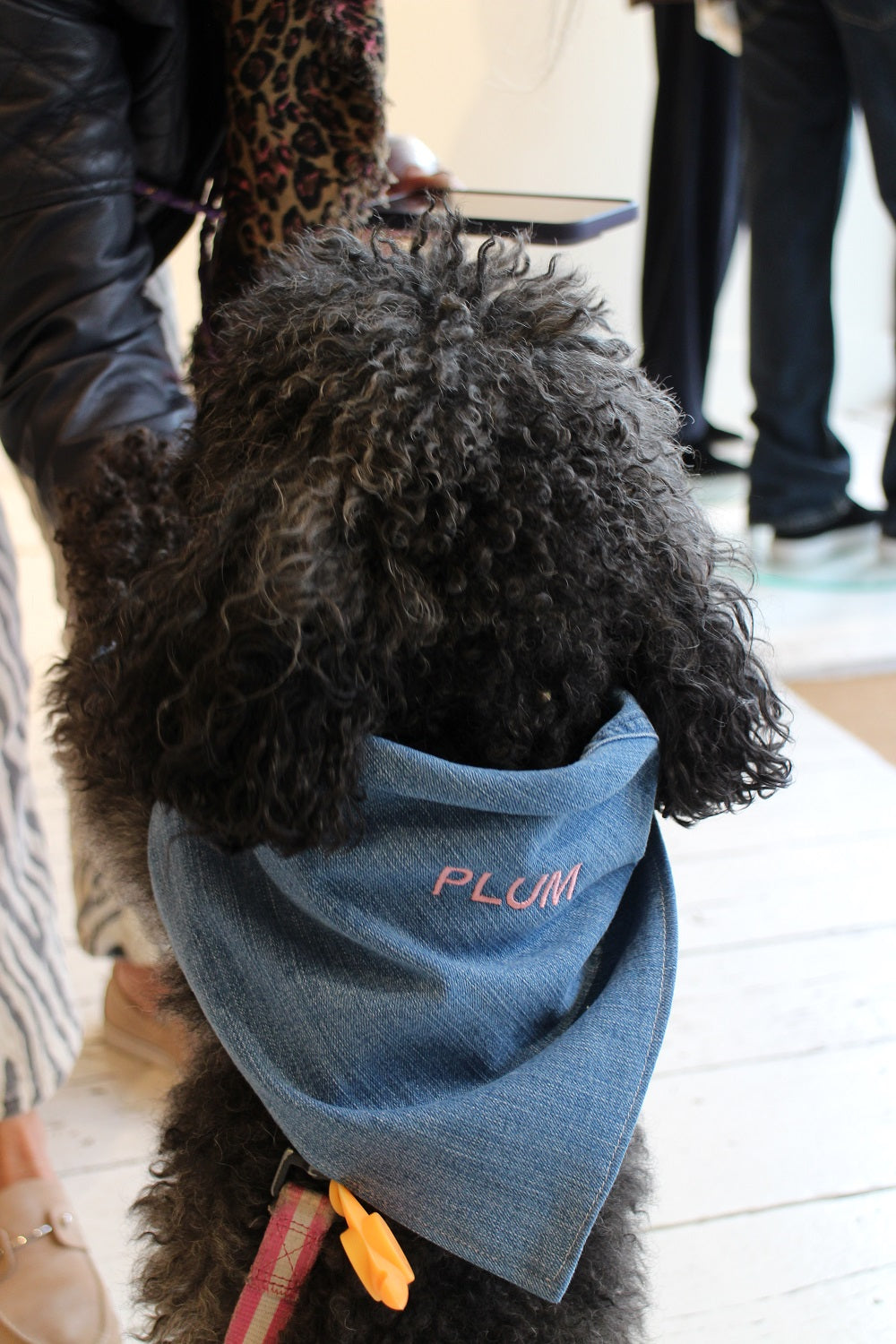 Chelsea Dog Day x Paige Bespoke Machine Embroidery Event