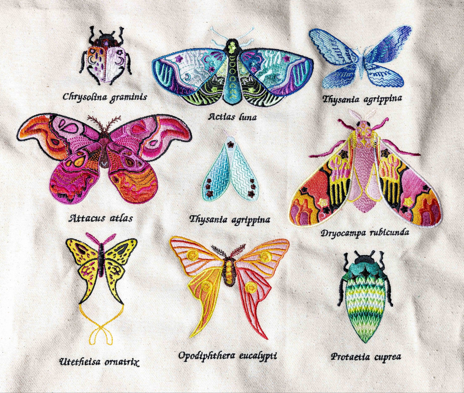 Coloreel Machine Embroidered Insect Sample