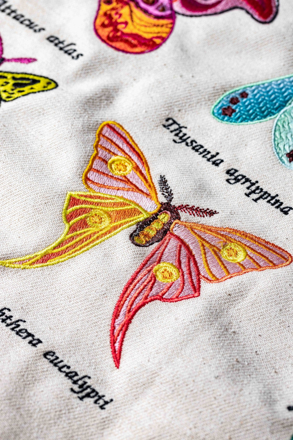 Coloreel Machine Embroidered Insect Sample