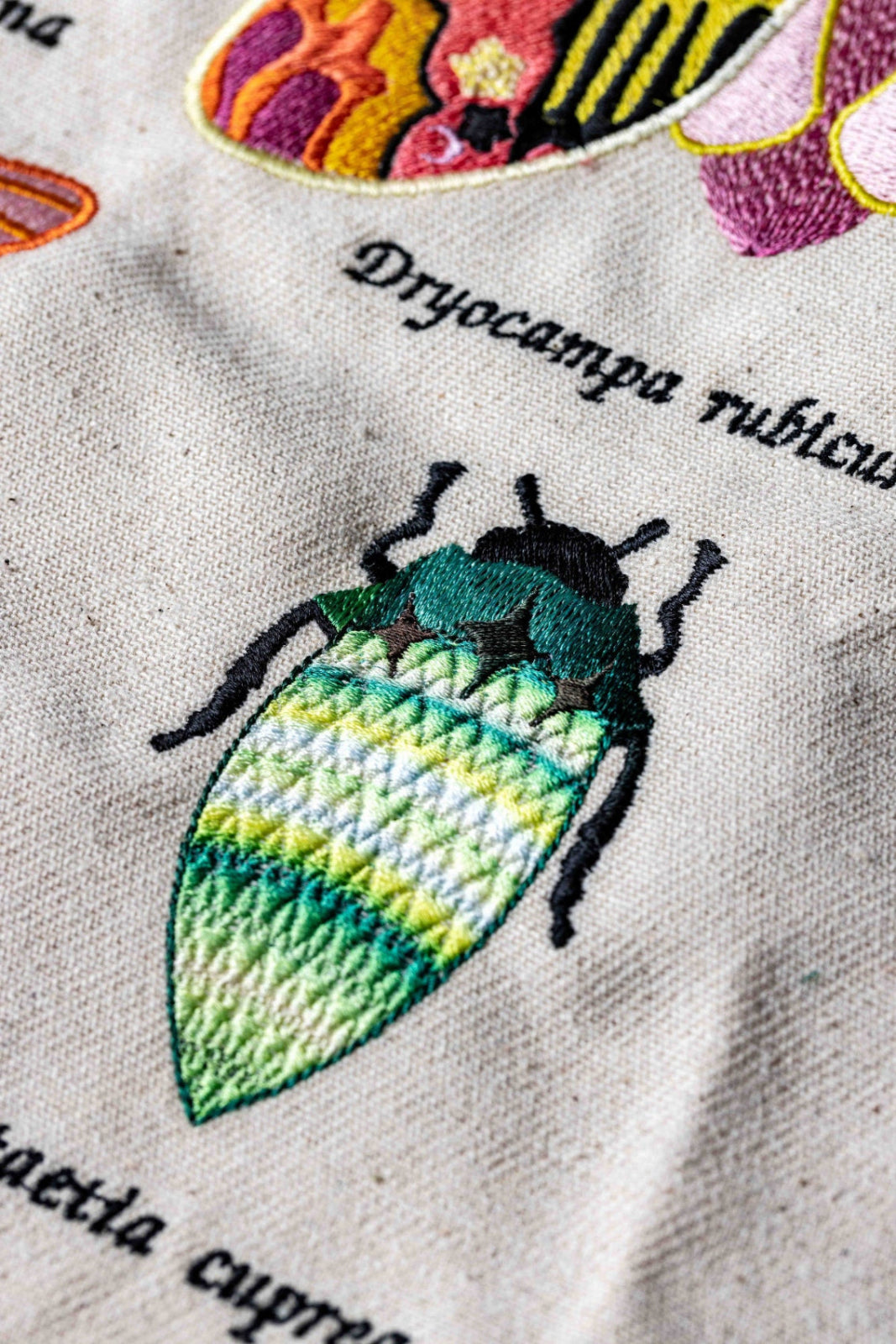 Coloreel Machine Embroidered Insect Sample