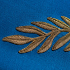 Coronation Fern (14626647441786)