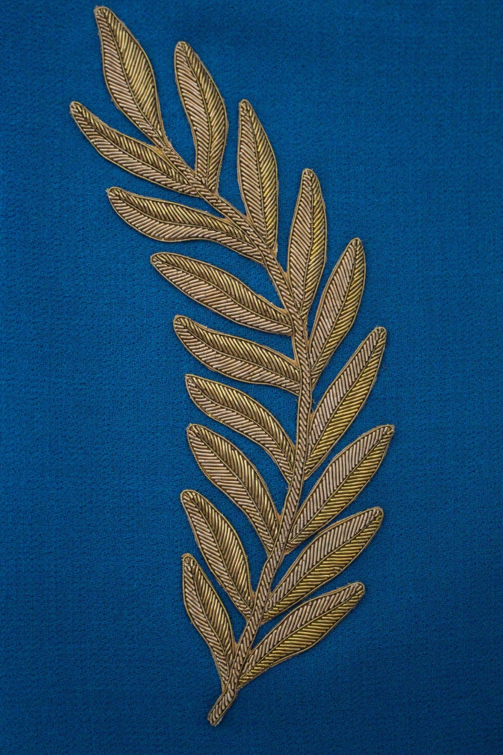 Coronation Fern (14626647441786)