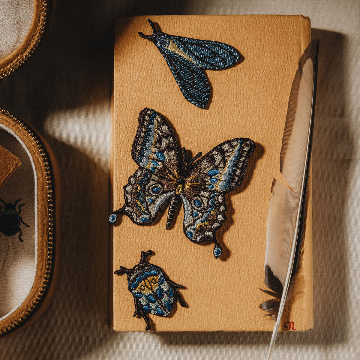 Desert Insects Embroidered Patch Set 