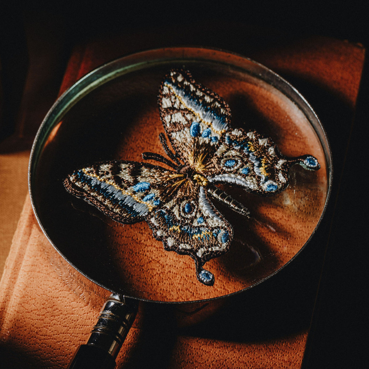 Desert Insects Embroidered Patch Set - Butterfly