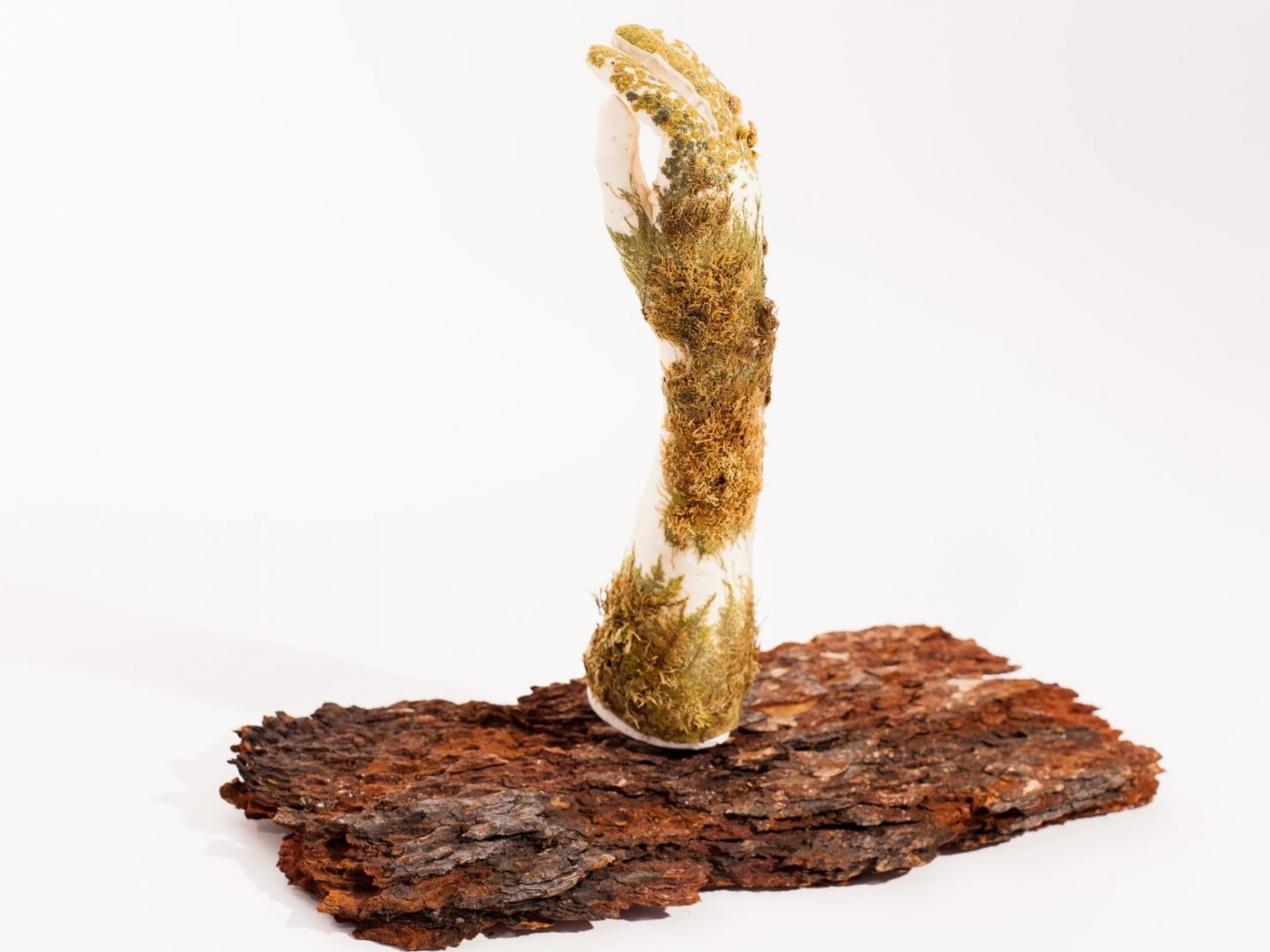 Eline Gaudé - 2nd Place Textile Art Student - The Prize 2022