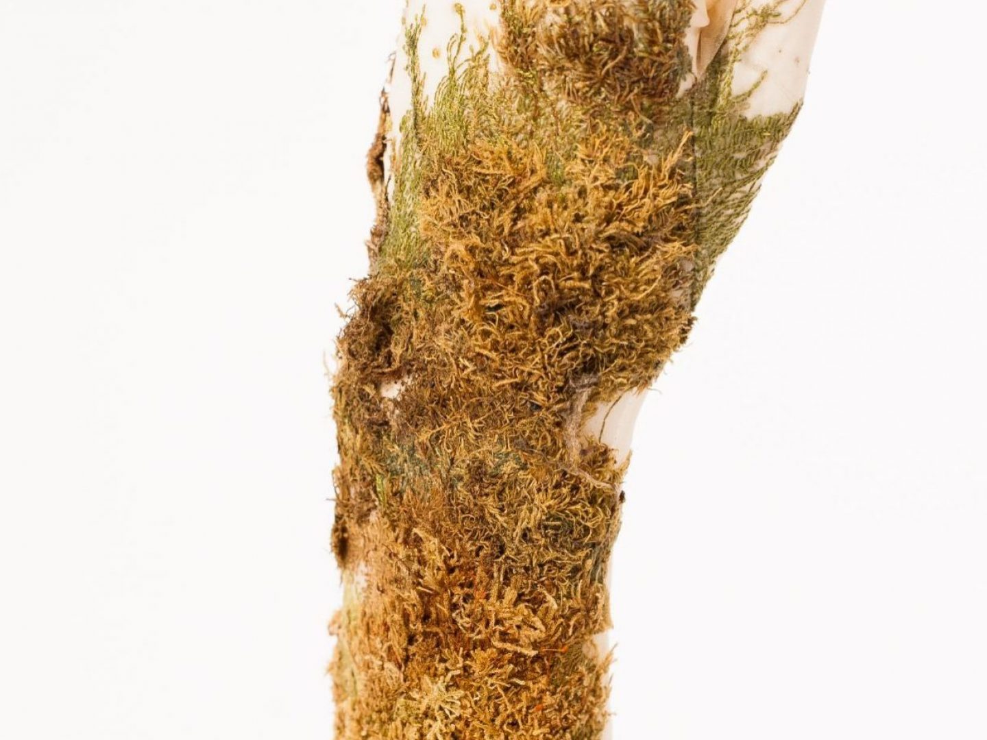 Eline Gaudé - 2nd Place Textile Art Student - The Prize 2022