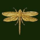 Entomology in Metal Threads  - 3 Week Course (8145255825667)