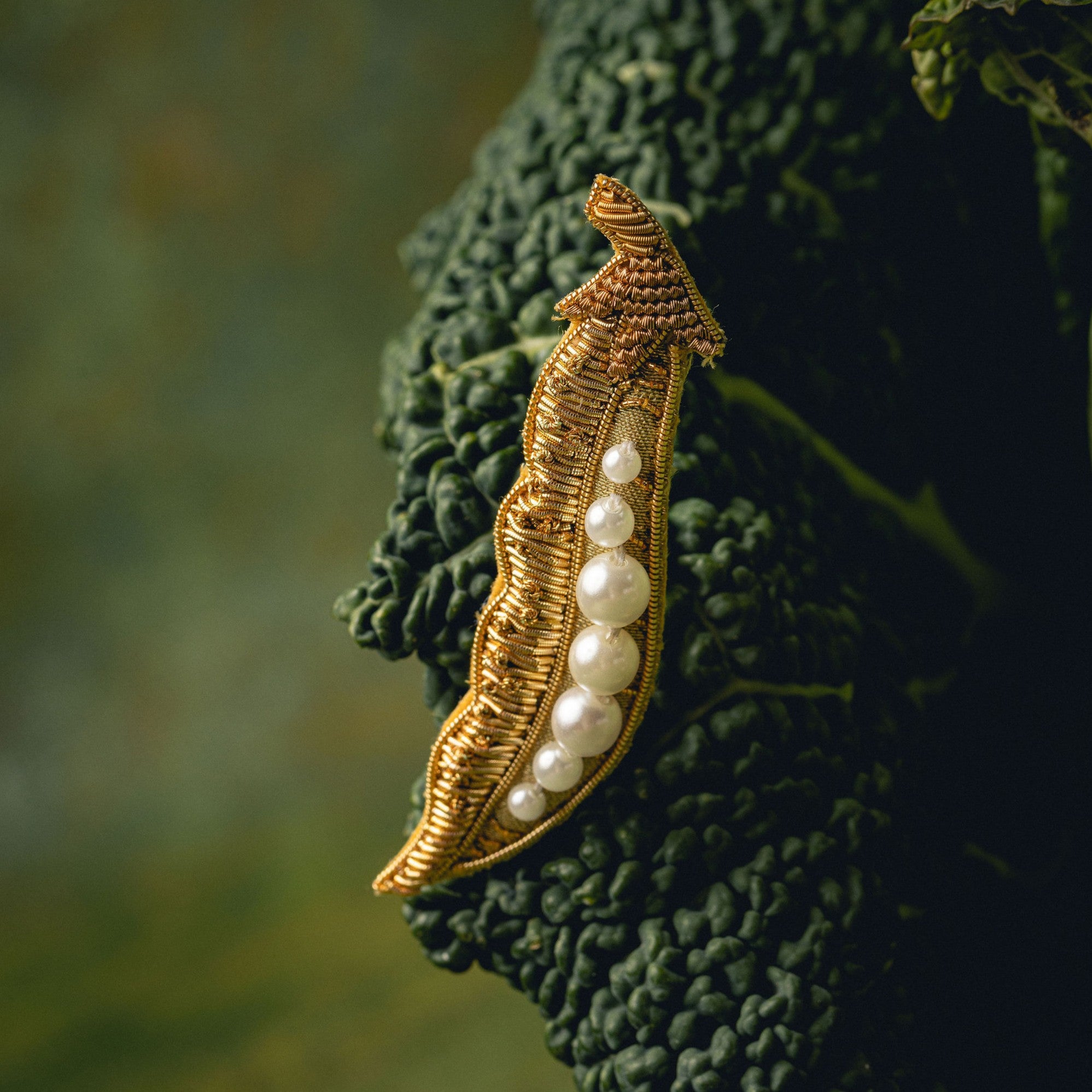 Golden Pea Brooch - Hand Embroidered brooch photographed on a cabbage leaf