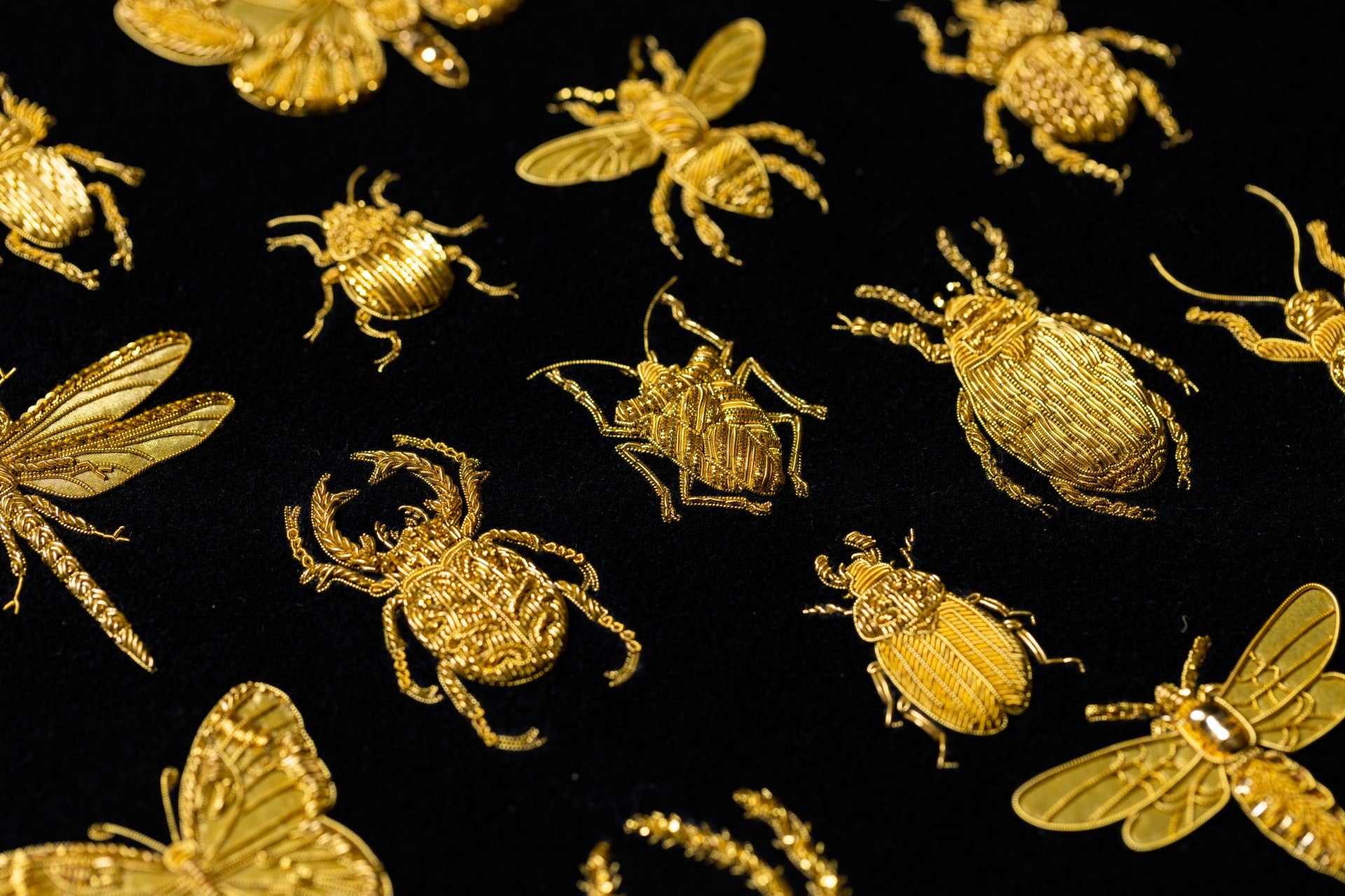 Hand Embroidered Goldwork Insects Sample