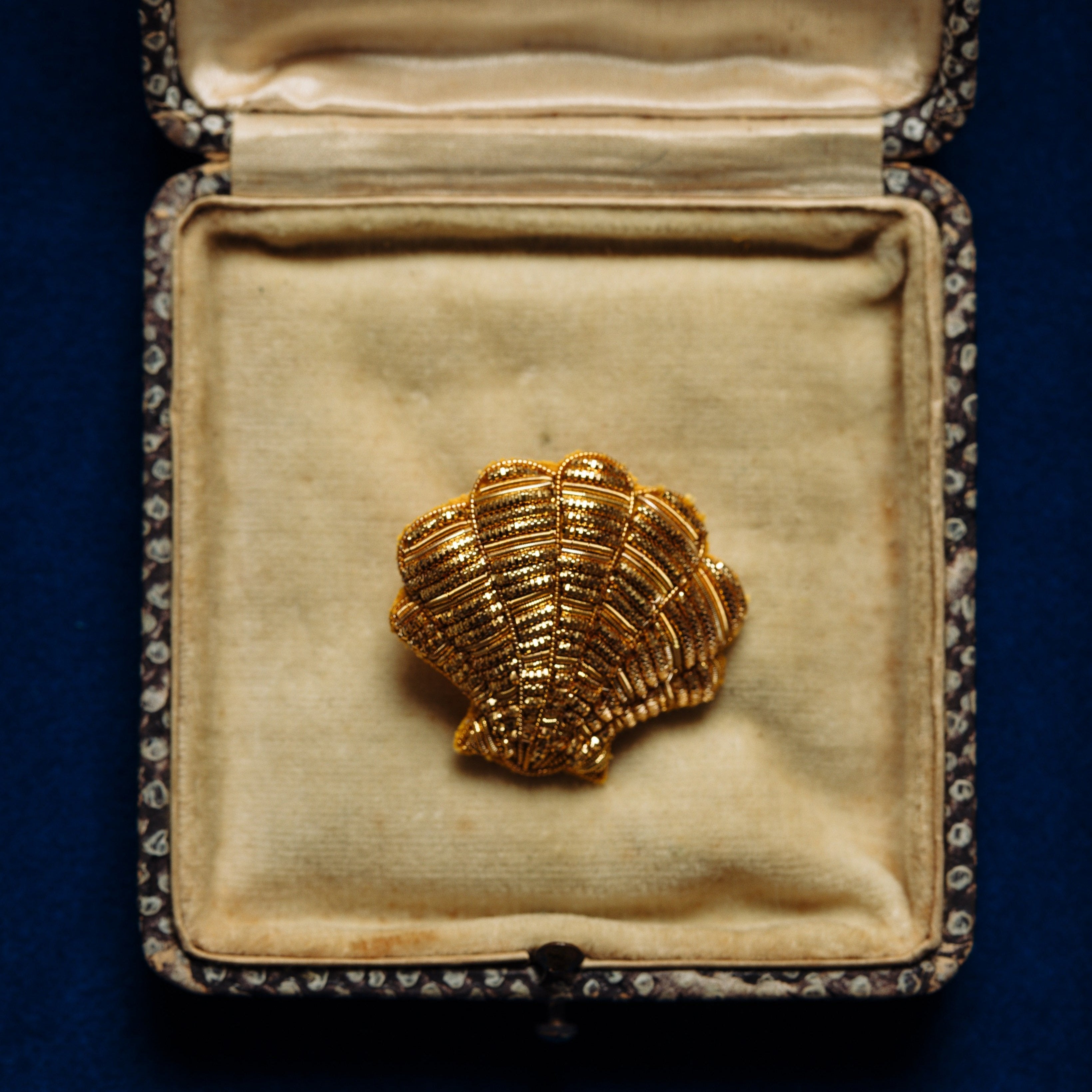 The Clam Brooch (14629470994810)