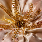 Hand and Lock Embroidery Diploma - Module 1005 Embroidery for Luxury Interiors 