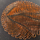 Metal Threads : Light, Colour & Shade: A Contemporary approach to ‘Or Nue Goldwork Embroidery. (8145283875075)