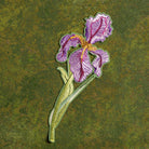 Iris Flower Embroidered Patch - Embroidered purple flower on a green background