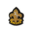 Kings Regiment Beret Badge