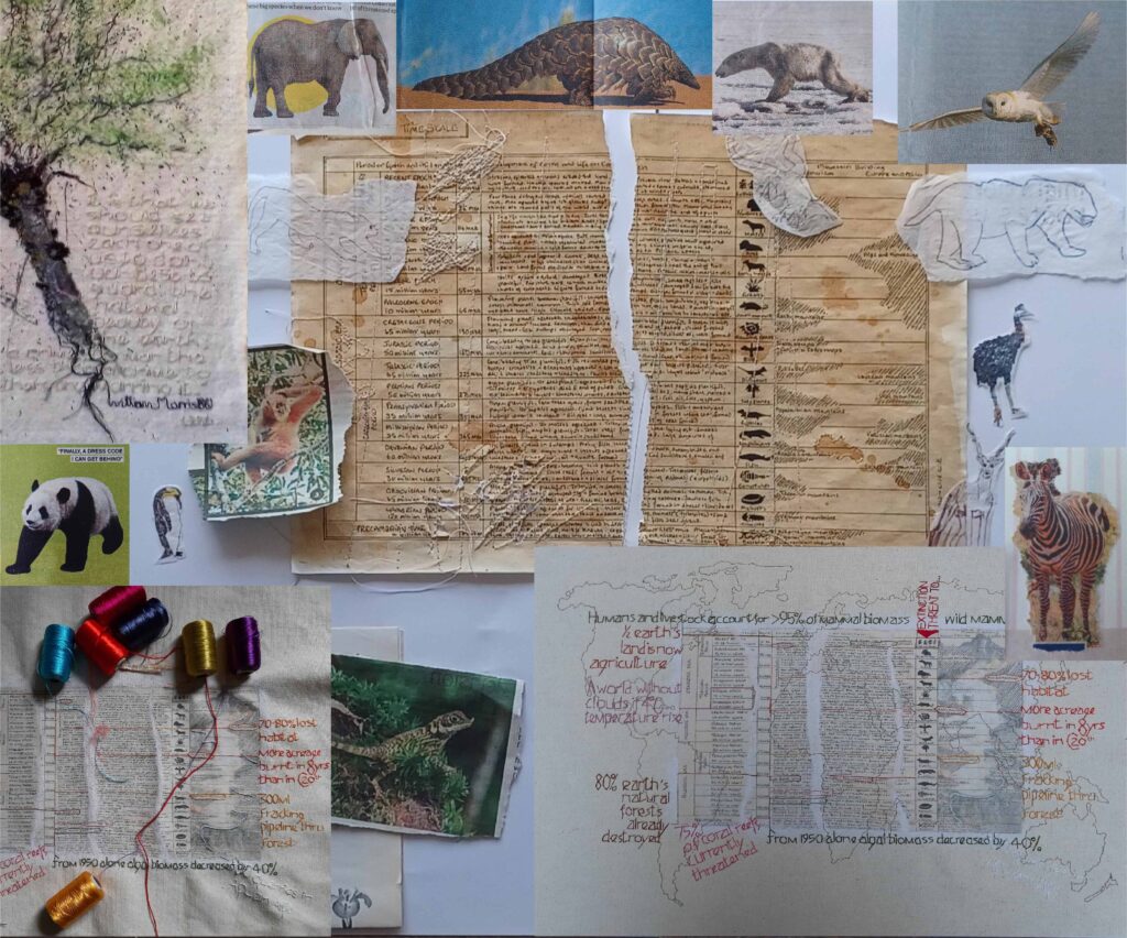 Lynda McDonald Creative Process - The Prize 2024