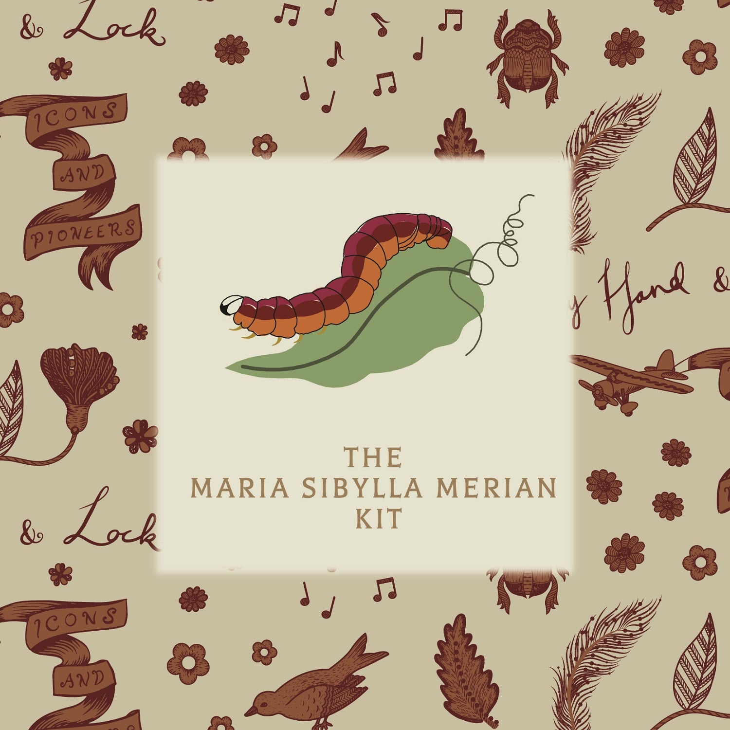 Maria Sibylla Embroidery Kit Holding Image 