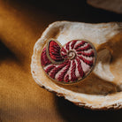 Nautilus Shell Hand Embroidered Brooch