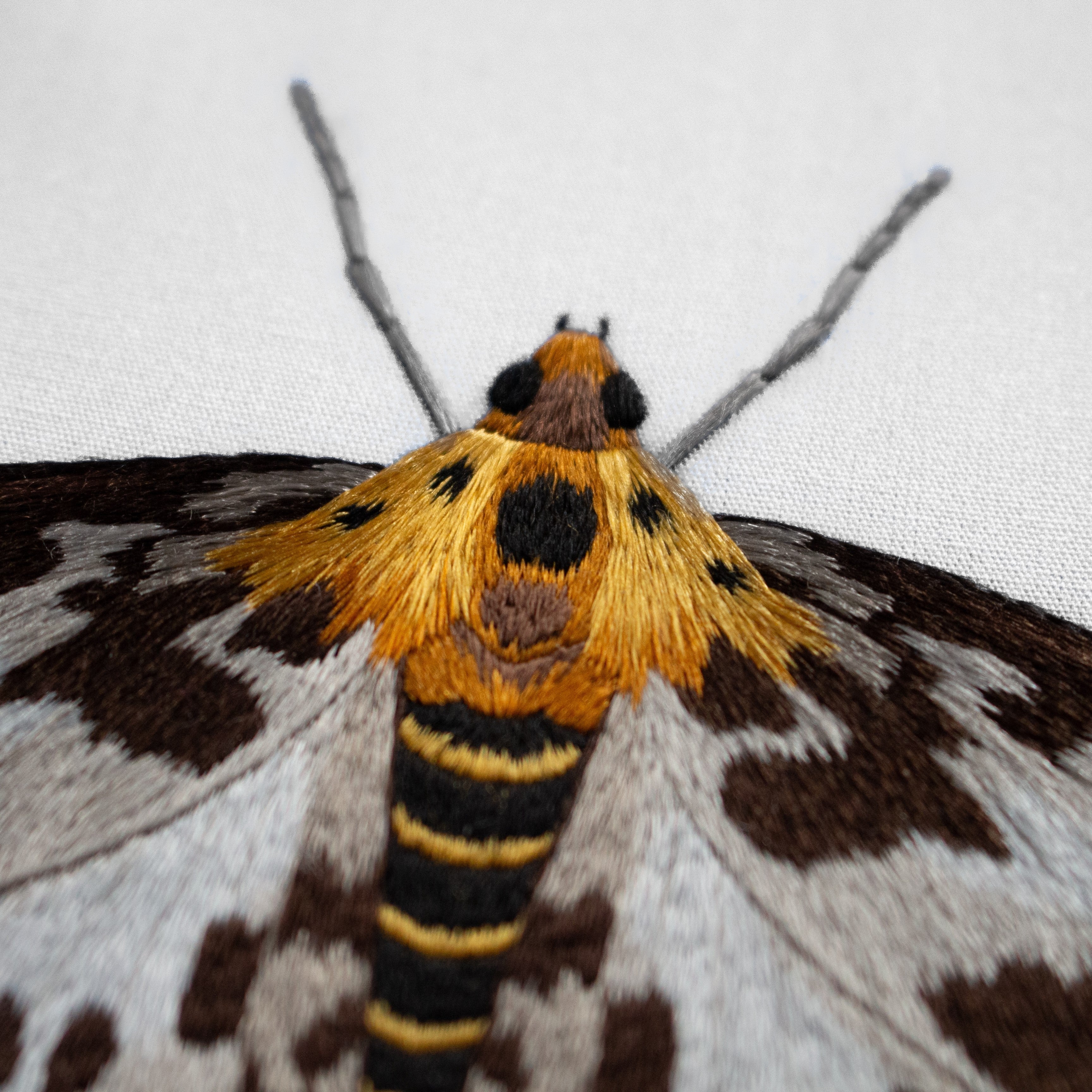 Needlepainting Moth Embroidery Course with Victoria Matthewson