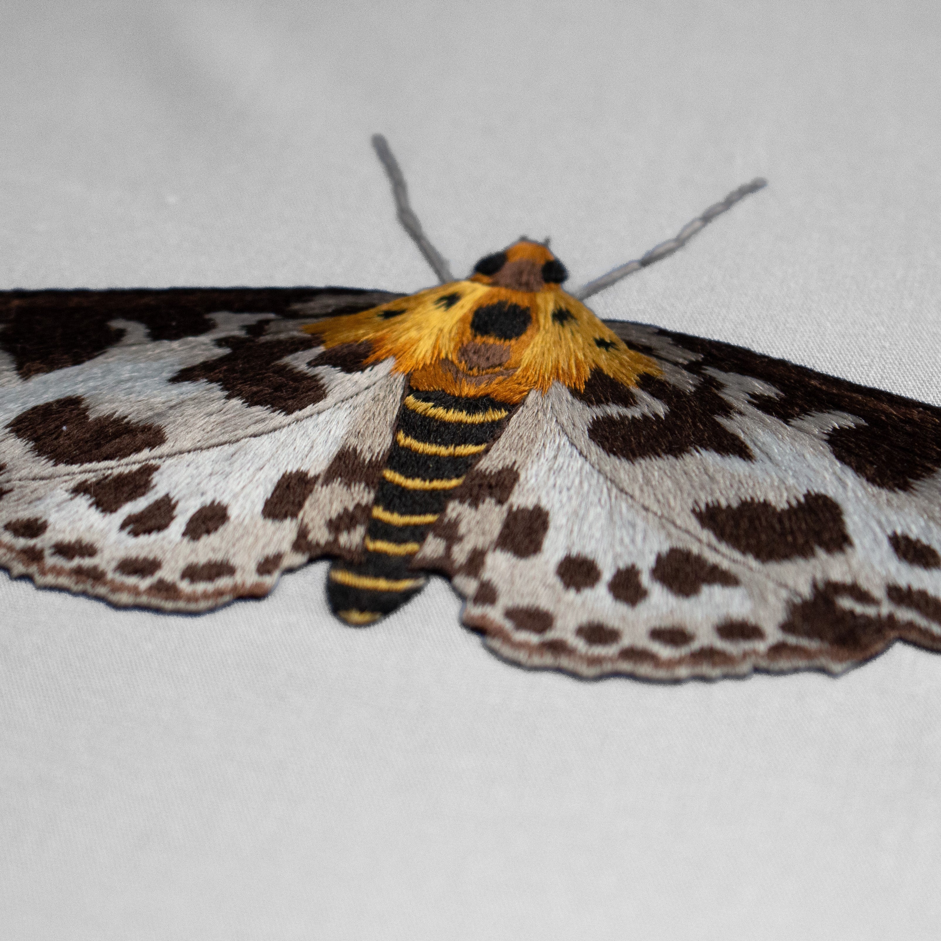 Needlepainting Moth Embroidery Course with Victoria Matthewson