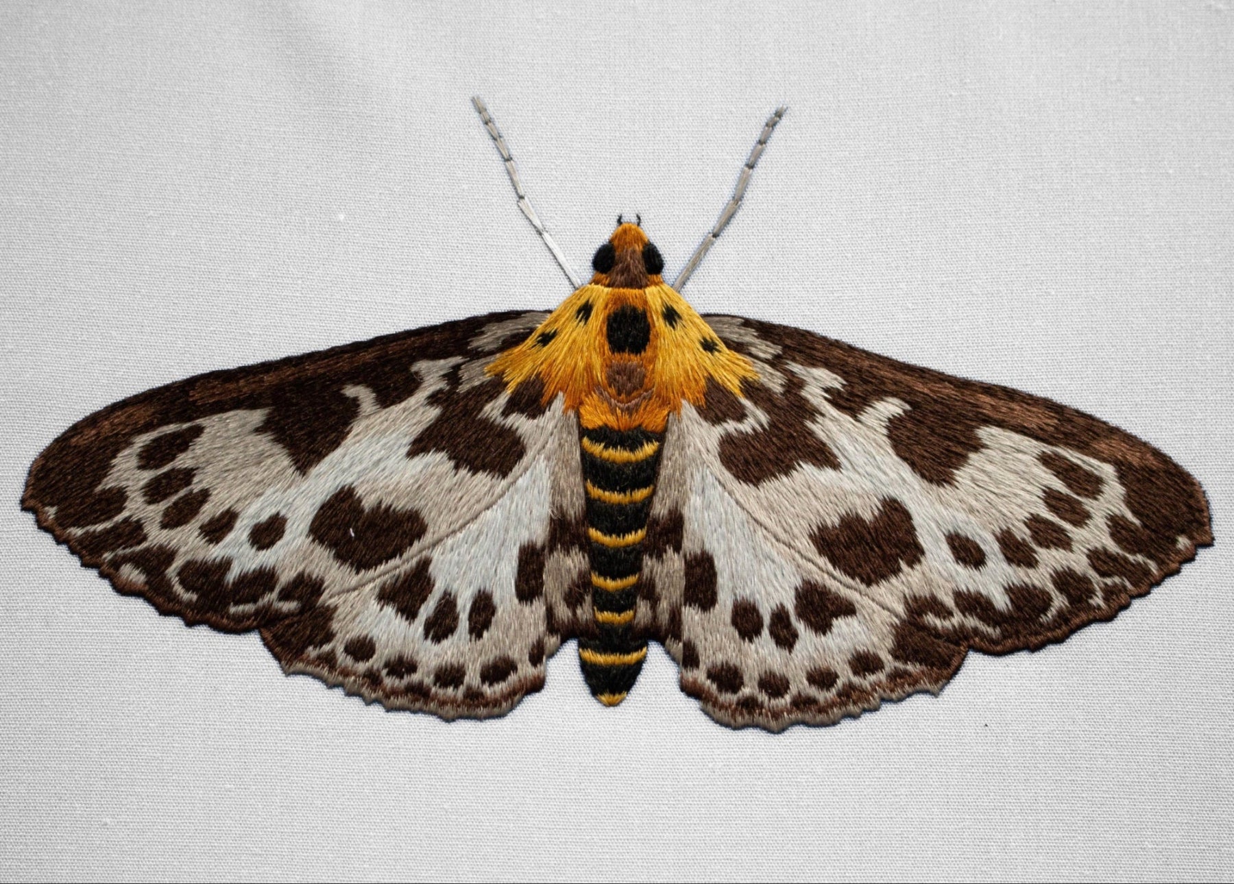 Needlepainting Moth Embroidery Course with Victoria Matthewson